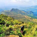 Private Multi-Day Sri Lanka Treks and Hikes Tour - What Makes This Tour Stand Out