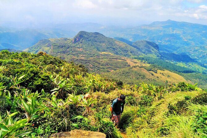 Private Multi-Day Sri Lanka Treks and Hikes Tour - What Makes This Tour Stand Out