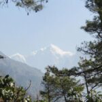 Private Namo Buddha Full-Day Tour from Kathmandu - An In-Depth Look at the Experience