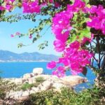 Private Nha Trang city excursion (half day program) - The Sum Up: A Strong Choice for Personalized Sightseeing