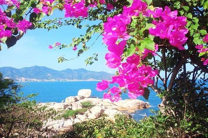 Private Nha Trang city excursion (half day program) - The Sum Up: A Strong Choice for Personalized Sightseeing