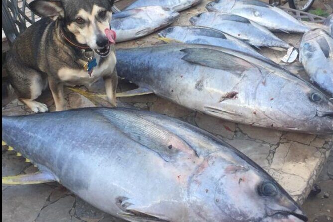 Private Offshore Fishing Charter from Port Aransas - Final Thoughts