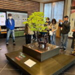 Private Omiya Bonsai Village Tour with Licensed Guide - The Value of the Tour