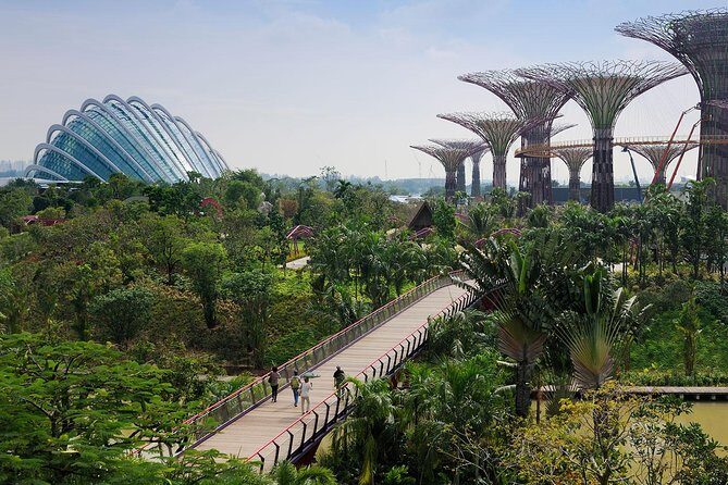 Private One Day Highlight Tour of Singapore with Singapore Flyer - What Makes This Tour Stand Out?