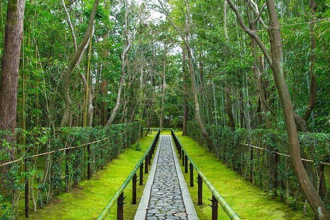 Private One Day Nikko Tour with Bilingual driver - Insights from Reviews