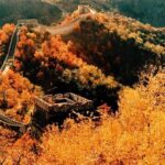 Private One Way Tianjin Port Transfer to Beijing including Great Wall Sightseeing - Practicalities and Value
