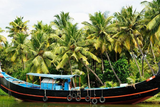 Private Overnight Alleppey Houseboat Cruise from Kochi - The Experience in Detail: What You Can Expect