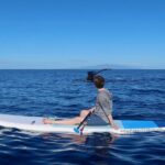 Private Paddleboard (SUP) Whale Watch: All Skill Levels Welcome - Why you should consider this tour