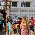 Private Peacock Trail Walking Tour in Mylapore - What You’ll Love About This Tour