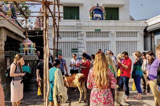 Private Peacock Trail Walking Tour in Mylapore - What You’ll Love About This Tour