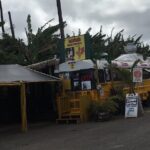 Private Pearl Harbor & North Shore tour (Se habla Español) - Who Would Benefit Most from This Tour?
