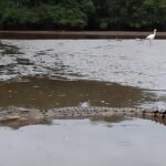 Private Proboscis Monkey, Water Village & Bandar by Night Tour - Practical Details: What Travelers Need to Know