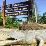 Private Puerto Princesa City Tour - What Travelers Say