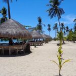 Private Puerto Princesa island tour: Shore excursion - Who Should Consider This Tour?