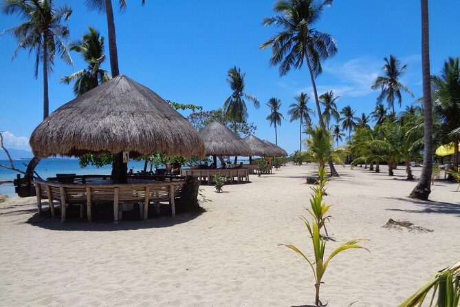 Private Puerto Princesa island tour: Shore excursion - Who Should Consider This Tour?