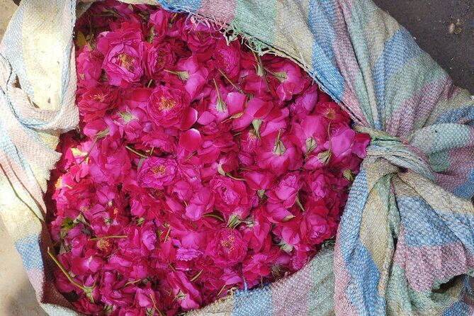 Private Rickshaw Tour of Old Delhi Heritage with Food Tasting - Kinari Bazaar: Embroidery & Handmade Art