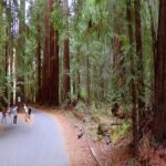 Private Russian River Day Trip from San Francisco: Redwoods and Wine Country - The Sum Up