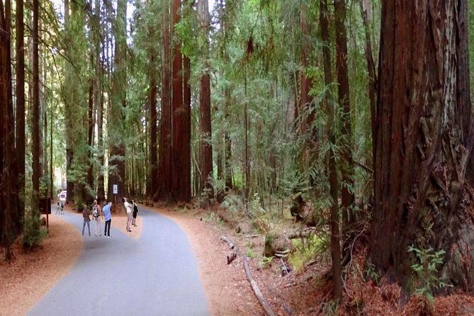 Private Russian River Day Trip from San Francisco: Redwoods and Wine Country - The Sum Up