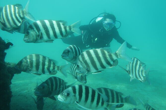 Private Scuba Diving Expert-Led Excursion Training with Tour - Practical Details and Logistics