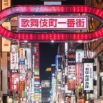 Private Shinjuku Nightlife Walking Tour & Golden-Gai Bar Crawl - The Guide Experience: Authentic & Friendly