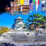 Private Shore Excursion Kobe Port - Best of Osaka with a local - Authentic Insights from Past Travelers