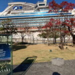 Private shore excursions in Kyushu, Japan - Authentic Experiences That Make a Difference