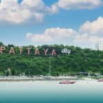 Private Shuttle SUV Bangkok From or To Pattaya - Practical Details & Tips