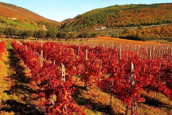Private Siena, S. Gimignano, Chianti Road and Wine Tasting - The Sum Up