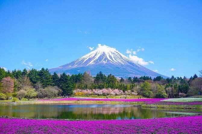 Private Sightseeing to Mt Fuji and Hakone with English Driver - Is This Tour Right for You?