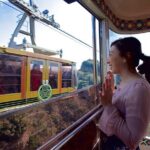 Private Sightseeing Tour from Shimizu Port / Sedan Taxi - Why This Tour Works Well