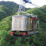 Private Sightseeing Tour from Shimizu Port /Small Bus - What Travelers Say & Why It Matters