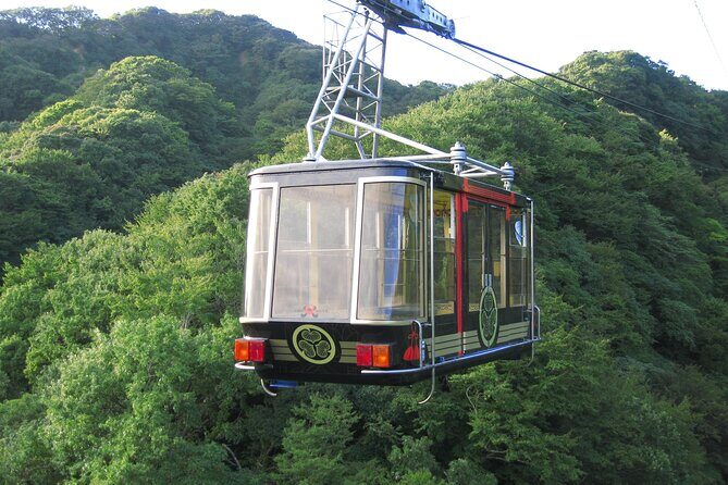 Private Sightseeing Tour from Shimizu Port /Small Bus - What Travelers Say & Why It Matters