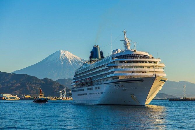 Private sightseeing tour from Shimizu Port / Van Taxi - Who Is This Tour Best For?