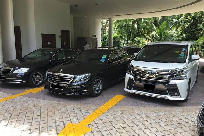 Private Singapore Arrival Transfer: Airport or Cruise Terminal to City - How the Experience Unfolds