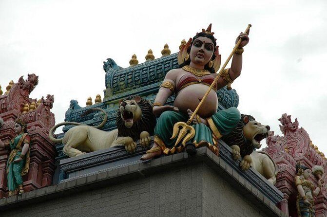 Private Singapore Chinatown, Little India and Temples Guided Tour - Authentic Experiences and Hidden Gems