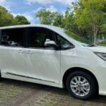 Private Singapore Departure Transfer: Hotel to Changi Airport - The Experience in Action: Real Traveler Insights