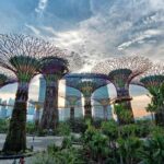 Private Singapore Night Tour with Gardens by the Bay&River Cruise - What Travelers Should Know