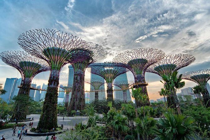 Private Singapore Night Tour with Gardens by the Bay&River Cruise - What Travelers Should Know