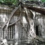 Private Sunrise Angkor Tour - The Itinerary: A Closer Look at What You’ll Experience