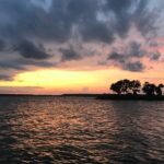 Private Sunset and Fireworks Dolphin Tour (6 people max) - Why This Tour Offers Real Value