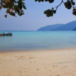 Private Surin Islands Longtail Boat Tour - Transportation and Timing