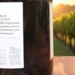 Private Sustainable Wine Tour in Oregon (Willamette Valley) - What Makes This Tour Stand Out?
