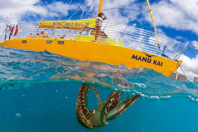 Private Swim and Sail Charter (Kewalo Harbor) - The Value of a Private Experience