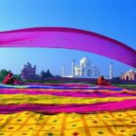 Private Taj Mahal from Delhi to Agra By Car - What Sets This Tour Apart?