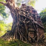 Private Taxi Between Phnom Penh - Siem Reap Stop Sightseeing - Authenticity and Real Traveler Insights
