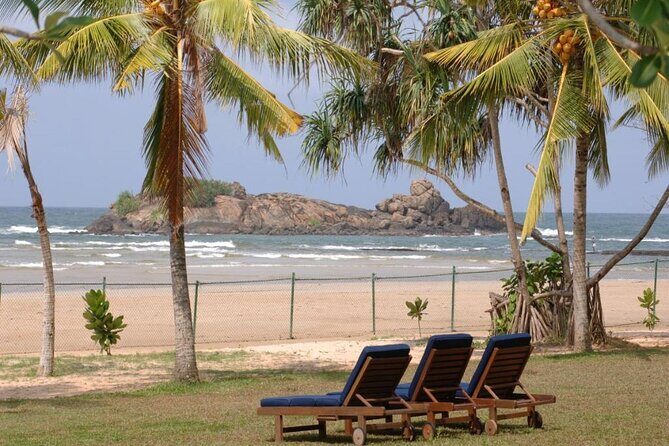 Private Taxi from Sri Lanka Airport (CMB-BIA) to The Palms Hotel Beruwala - What to Expect at the Pickup Point