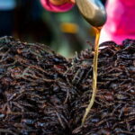 Private Taxi Phnom Penh To Siem Reap Include Floating Villages - FAQ