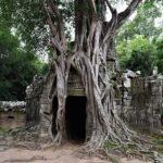 Private Taxi Siem Reap to Phnom Penh, Reliable Friendly Drivers - The Sum Up