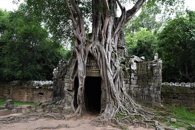 Private Taxi Siem Reap to Phnom Penh, Reliable Friendly Drivers - The Sum Up