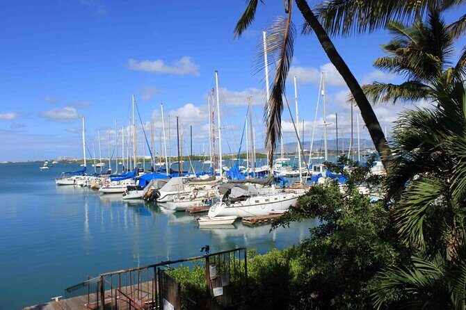 Private Tiki Bar Sunset Cruise in Honolulu - Who Will Love This Tour?